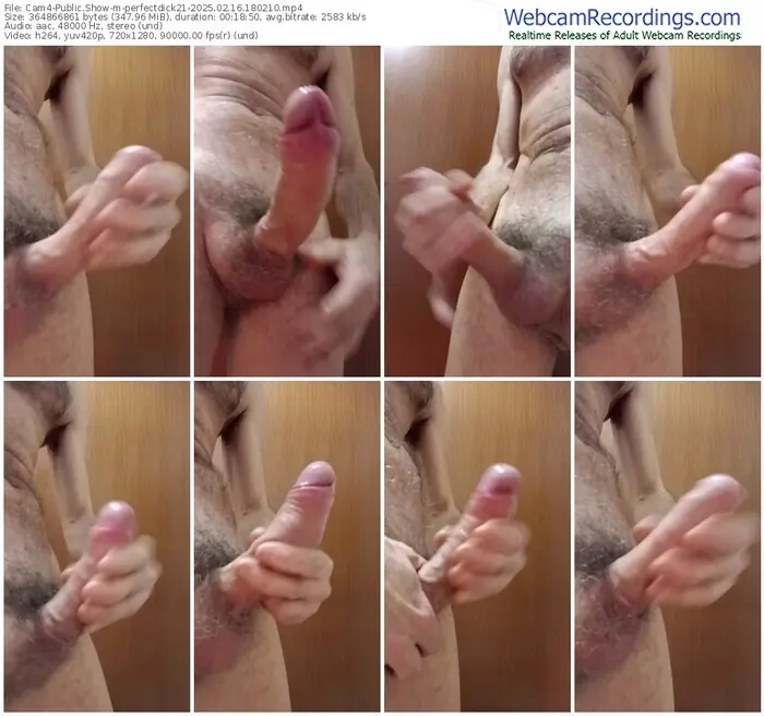 cam4-perfectdick21-02-16-2025-18-02-10