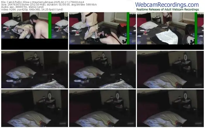 cam4-meunierlubrique-02-17-2025-17-59-00