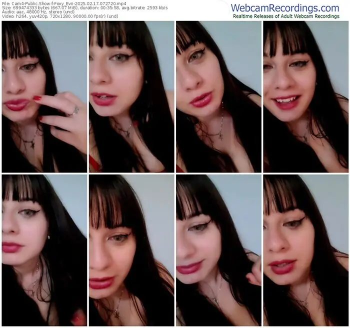 cam4-foxy_evii-02-17-2025-07-27-20