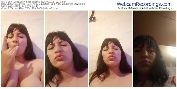cam4-nooocllama-02-17-2025-04-02-19
