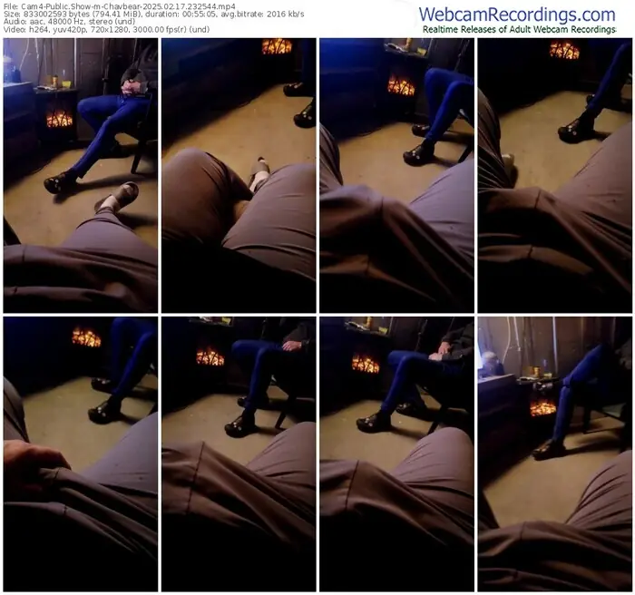 cam4-chavbear-02-17-2025-23-25-44