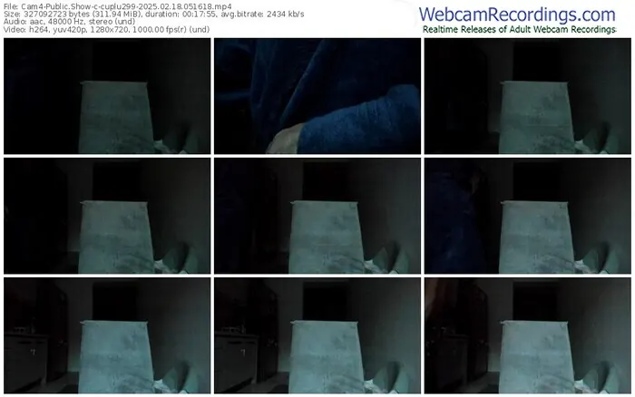 cam4-cuplu299-02-18-2025-05-16-18