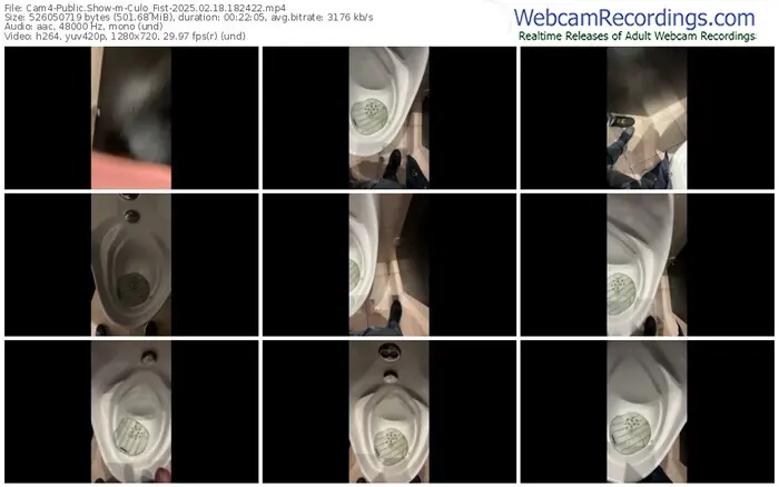 cam4-culo_fist-02-18-2025-18-24-22