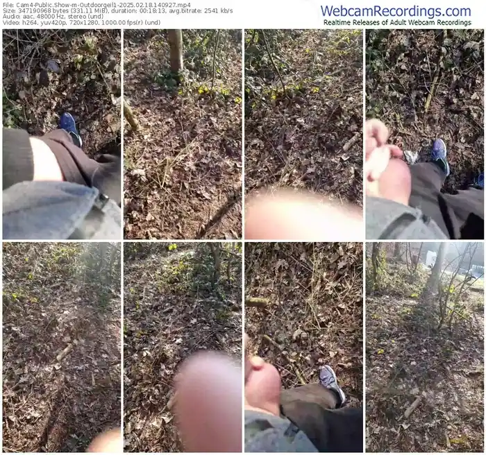 cam4-outdoorgeil1-02-18-2025-14-09-27