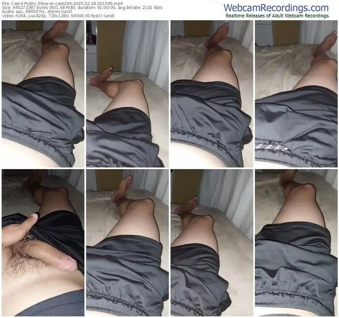 cam4-cam296-02-18-2025-01-10-49