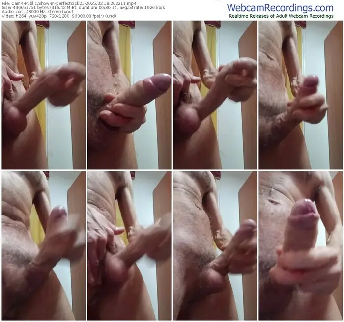 cam4-perfectdick21-02-18-2025-20-22-11