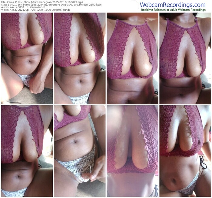 cam4-panteranegraa-02-19-2025-10-30-23