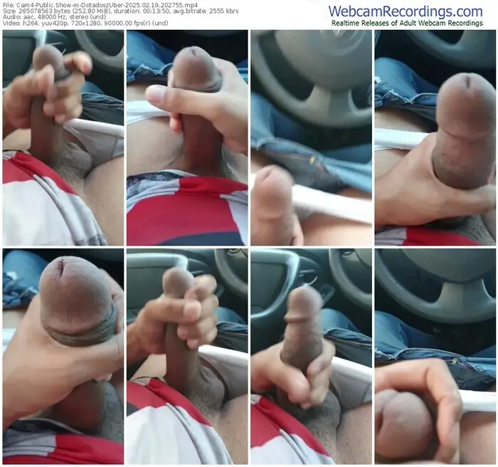 cam4-dotadoszuber-02-19-2025-20-27-55