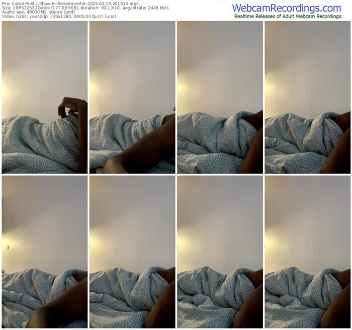 cam4-renoirmonter-02-19-2025-20-10-10