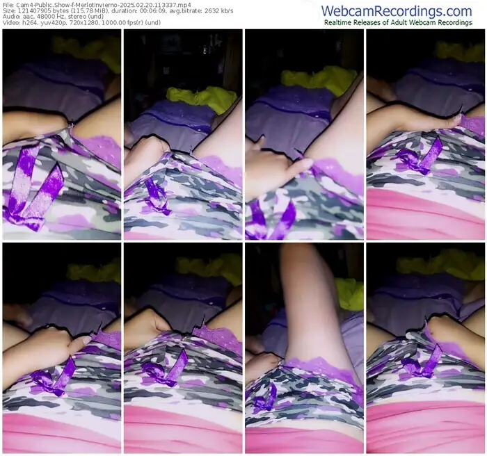 cam4-merlotinvierno-02-20-2025-11-33-37