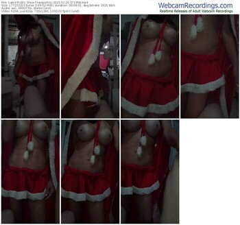 cam4-taisporto1-02-20-2025-07-19-58