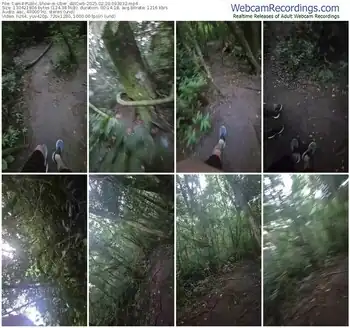 cam4-uber_dotcwb-02-20-2025-09-39-32