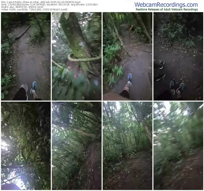 cam4-uber_dotcwb-02-20-2025-09-39-32