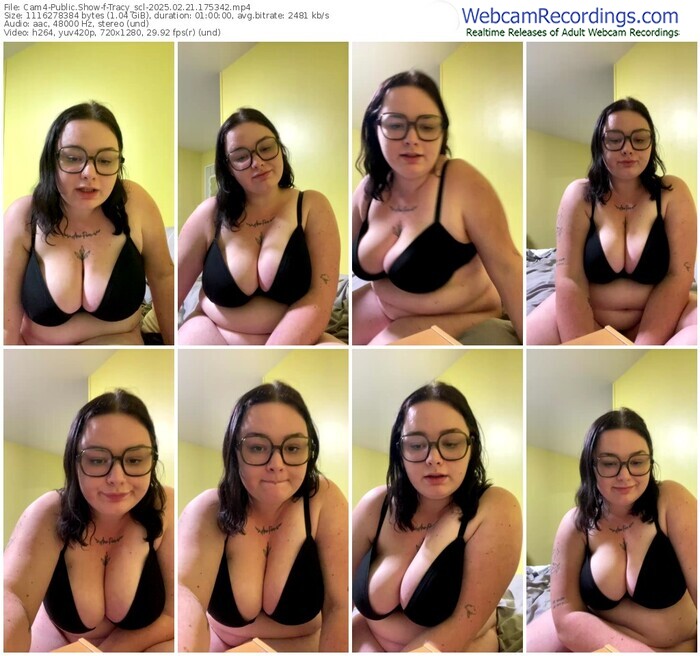 cam4-tracy_scl-02-21-2025-17-53-42