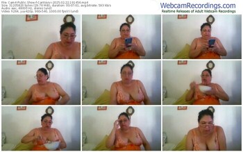 cam4-caritovivi-02-22-2025-19-14-56