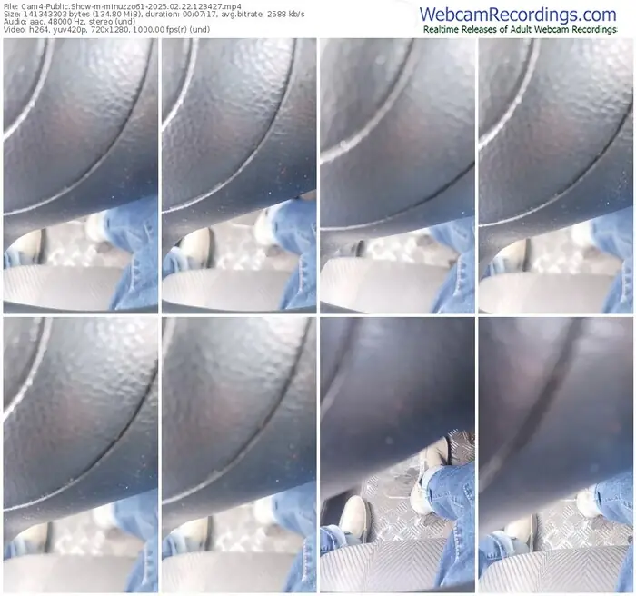 cam4-minuzzo61-02-22-2025-12-34-27