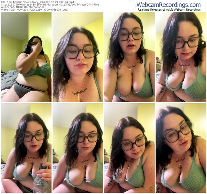 cam4-tracy_scl-02-23-2025-23-21-24