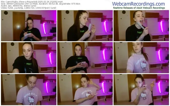 cam4-proyecto8-02-24-2025-15-20-52