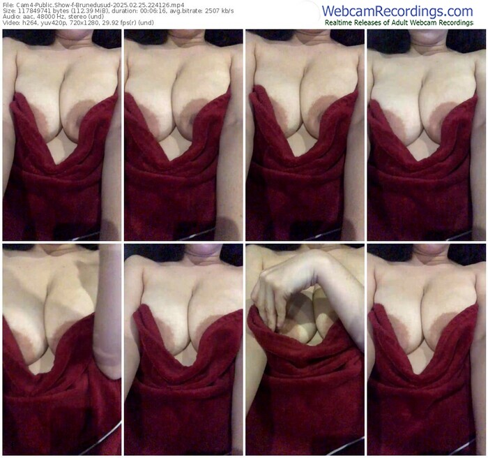 cam4-brunedusud-02-25-2025-22-41-26