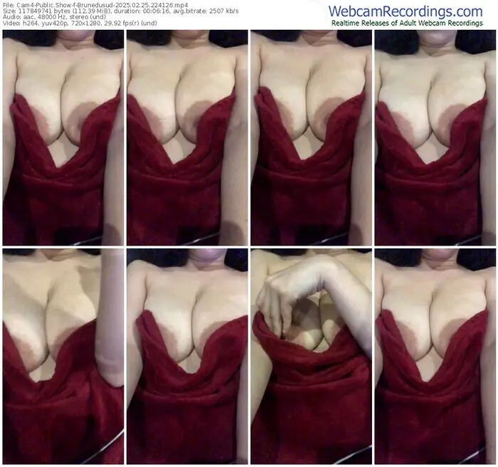 cam4-brunedusud-02-25-2025-22-41-26