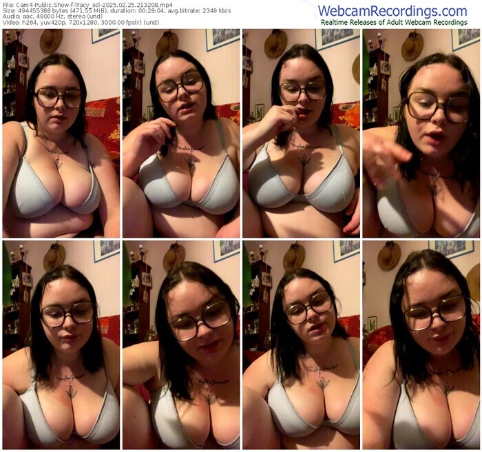 cam4-tracy_scl-02-25-2025-21-32-08