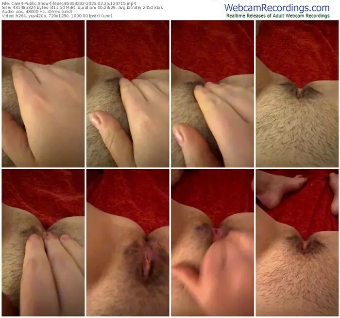 cam4-fede185353232-02-25-2025-12-37-15