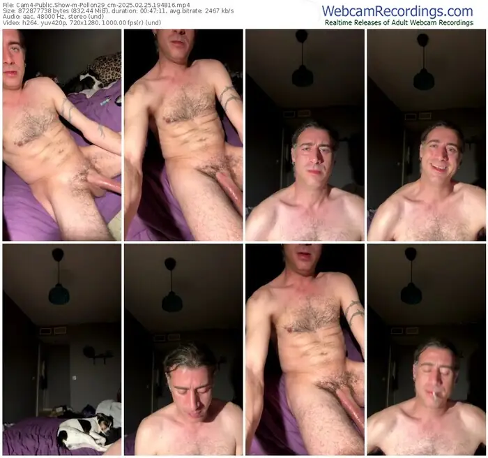 cam4-pollon29_cm-02-25-2025-19-48-16