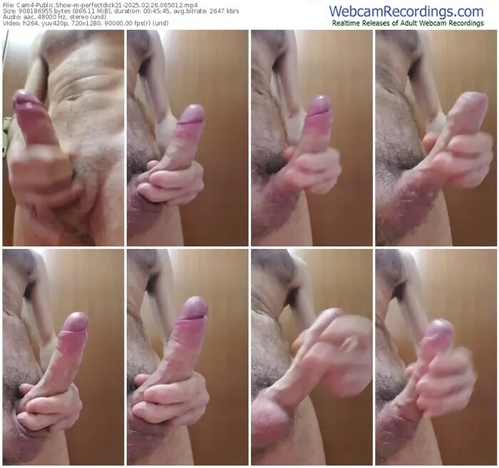 cam4-perfectdick21-02-26-2025-06-50-12