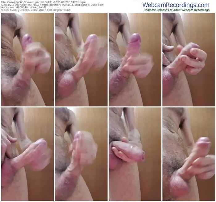cam4-perfectdick21-02-26-2025-13-42-31
