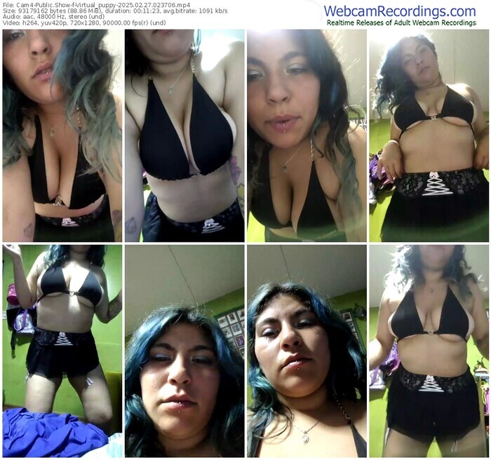 cam4-virtual_puppy-02-27-2025-02-37-06