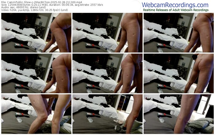 cam4-2mecbichos-02-28-2025-21-13-00