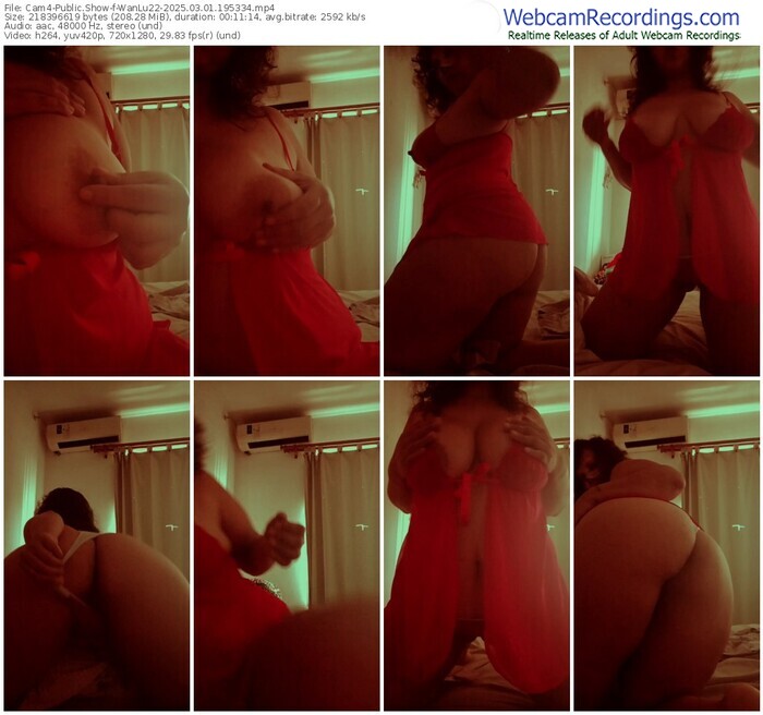 cam4-wanlu22-03-01-2025-19-53-34