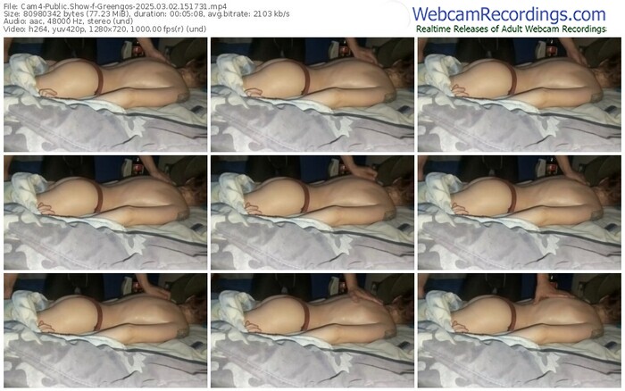 cam4-greengos-03-02-2025-15-17-31