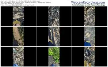 cam4-culo_fist-03-03-2025-13-46-56