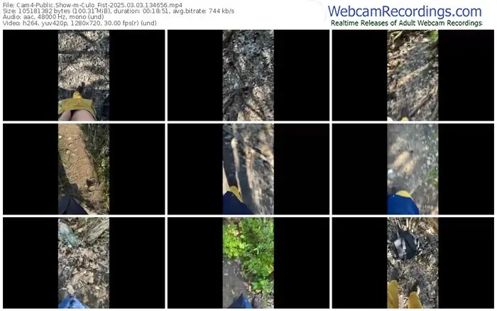 cam4-culo_fist-03-03-2025-13-46-56