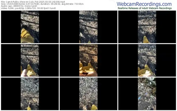 cam4-culo_fist-03-03-2025-14-10-09