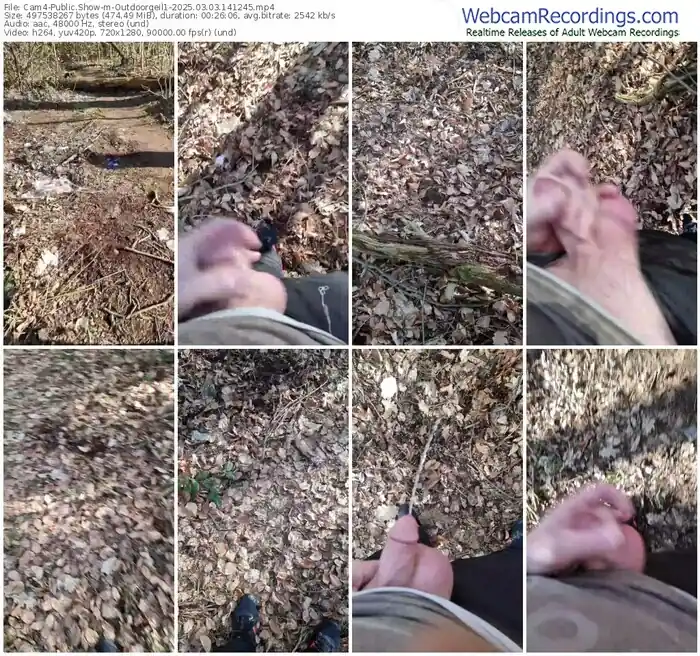 cam4-outdoorgeil1-03-03-2025-14-12-45