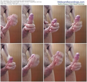 cam4-perfectdick21-03-03-2025-06-53-18