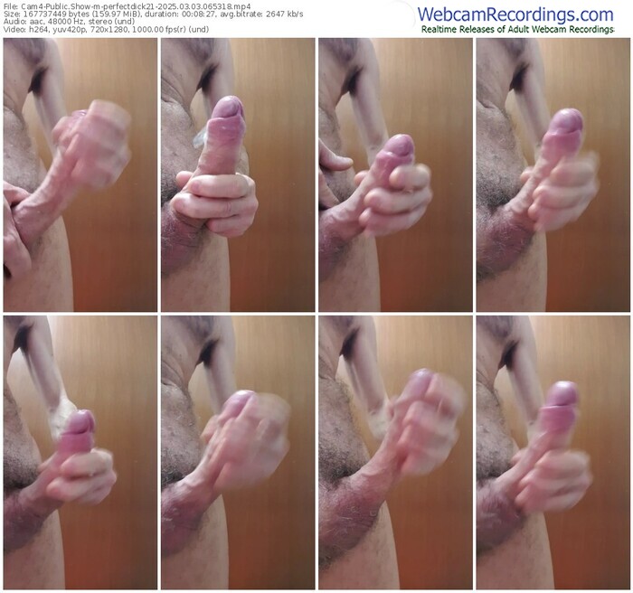 cam4-perfectdick21-03-03-2025-06-53-18