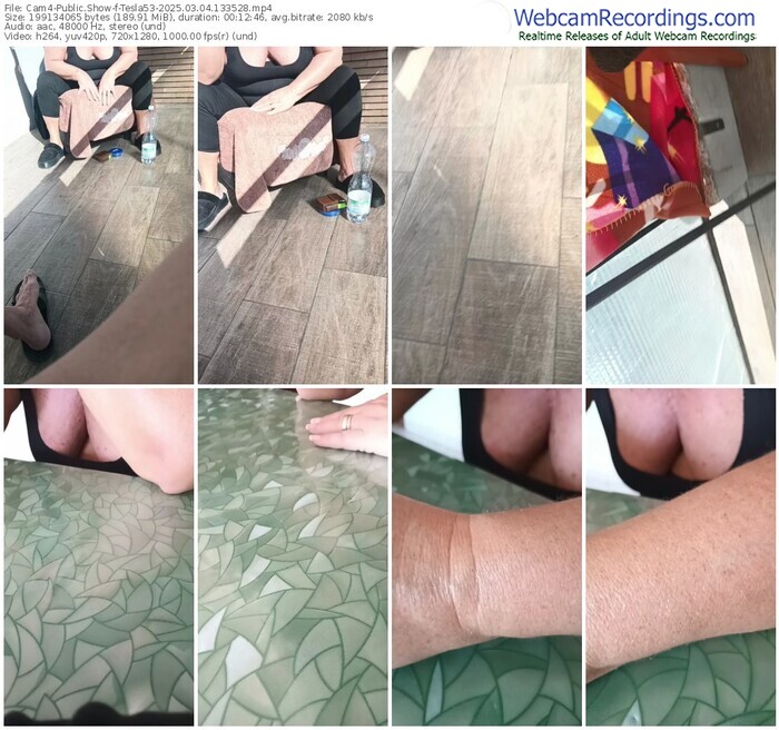 cam4-tesla53-03-04-2025-13-35-28