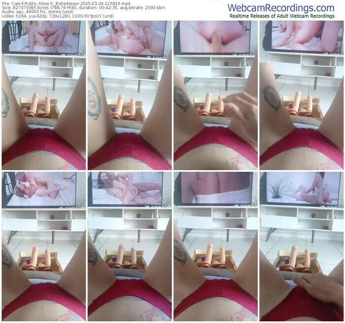 cam4-_belledejour-03-04-2025-11-58-19