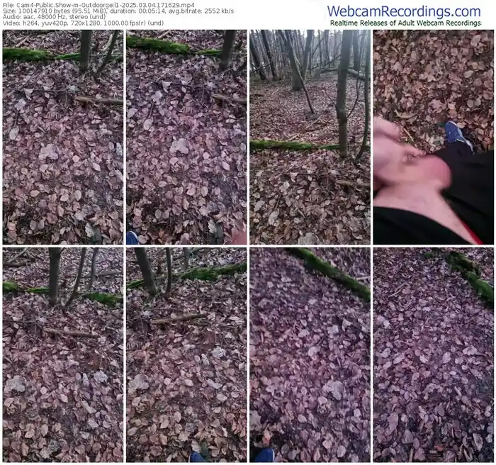 cam4-outdoorgeil1-03-04-2025-17-16-29