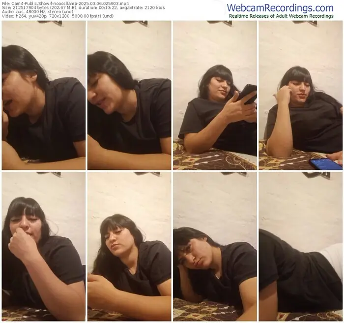 cam4-nooocllama-03-06-2025-02-59-03