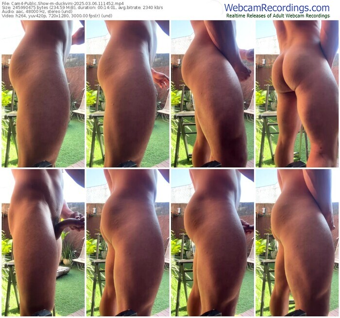 cam4-duckvini-03-06-2025-11-14-52