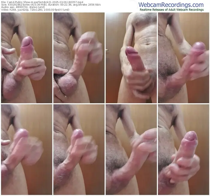 cam4-perfectdick21-03-06-2025-18-03-57