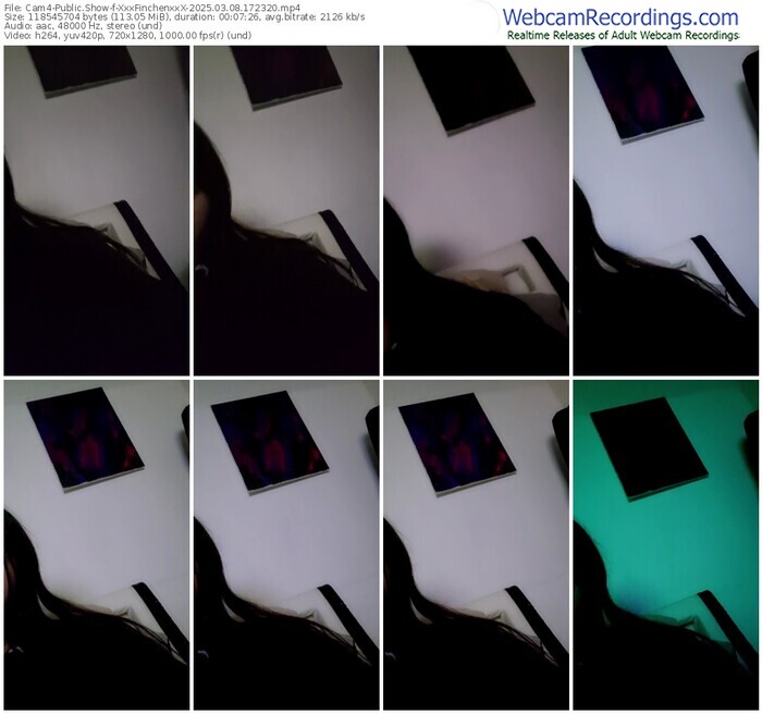 cam4-xxxfinchenxxx-03-08-2025-17-23-20