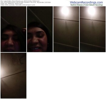 cam4-franch_xxx-03-08-2025-17-35-04