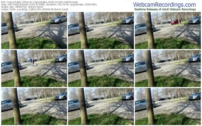 cam4-cazzoarabo-03-08-2025-13-24-56