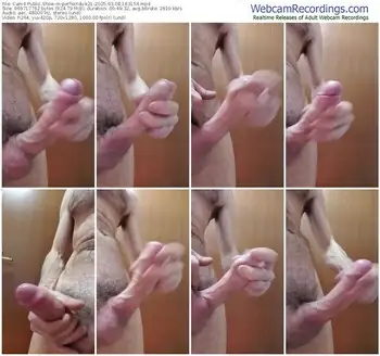 cam4-perfectdick21-03-08-2025-16-31-54