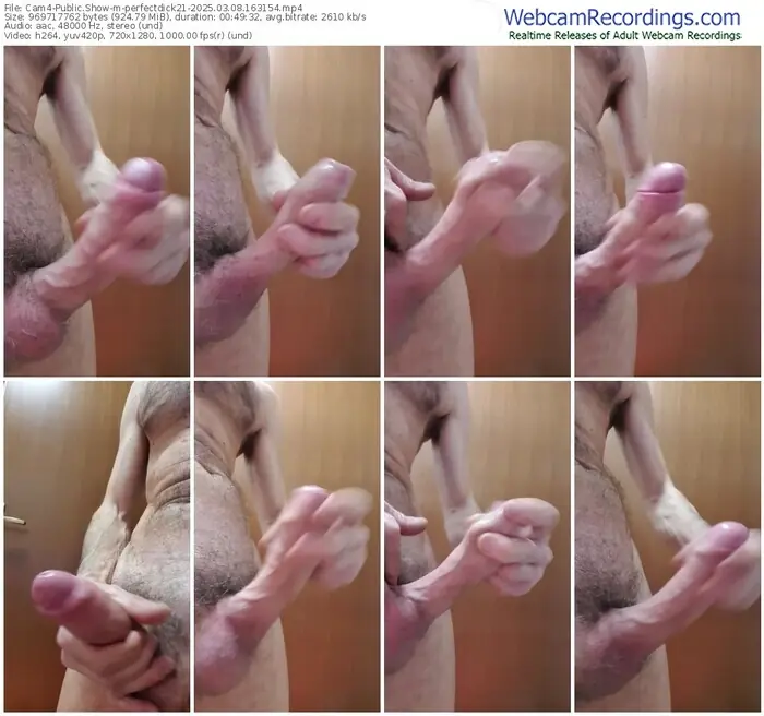 cam4-perfectdick21-03-08-2025-16-31-54